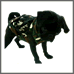 ybgk