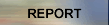 REPORT