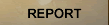 REPORT