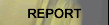 REPORT