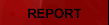 REPORT
